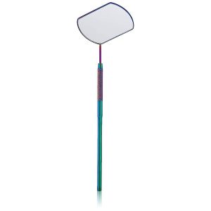 Lash Mirror